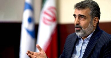 طهران الاجهزة الامنية كشفت مسببي العمل التخريبي في نطنز النووية