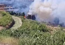 شبح الحرائق يطارد مزارعي الزيتون في جبل الحلو.. فهل من إجراءات احترازية؟