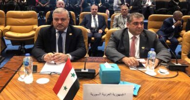 سورية تشارك في الاجتماعات السنوية للهيئات والمؤسسات المالية العربية في مصر