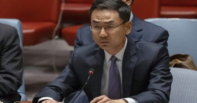 الصين تجدد التأكيد على ضرورة احترام سيادة سورية وسلامة أراضيها