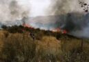 إخماد حريق زراعي في قرية بولص بريف حماة