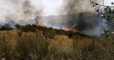إخماد حريق زراعي في قرية بولص بريف حماة