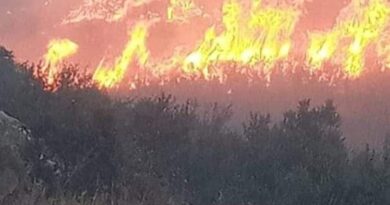 حريق حراجي في منطقة جب الأحمر بحماة